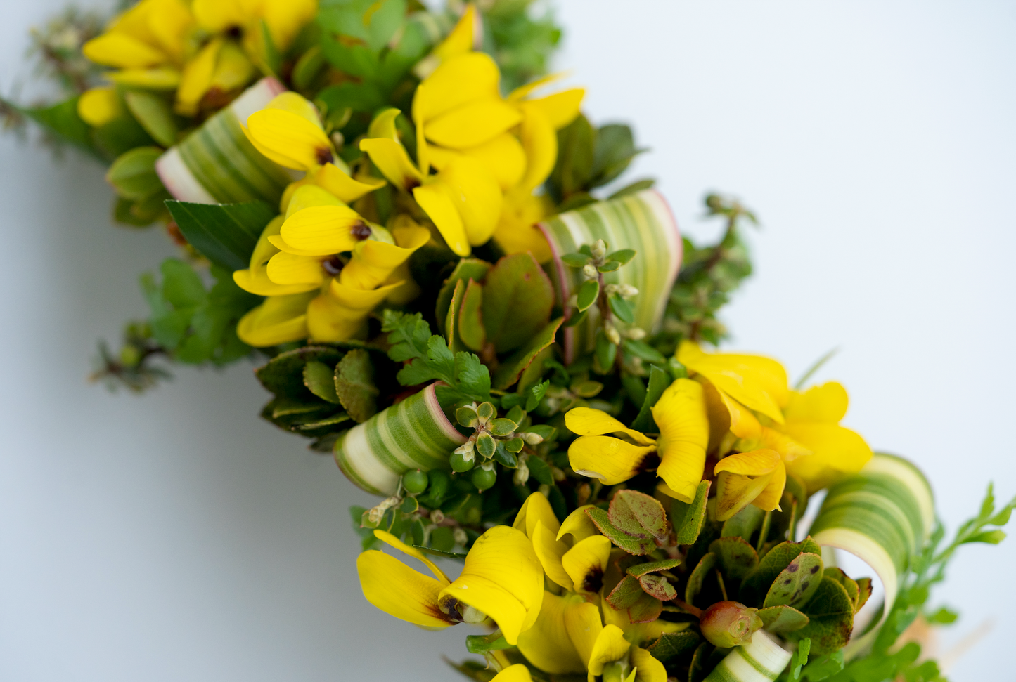 Kawai's Choice Lei Poʻo