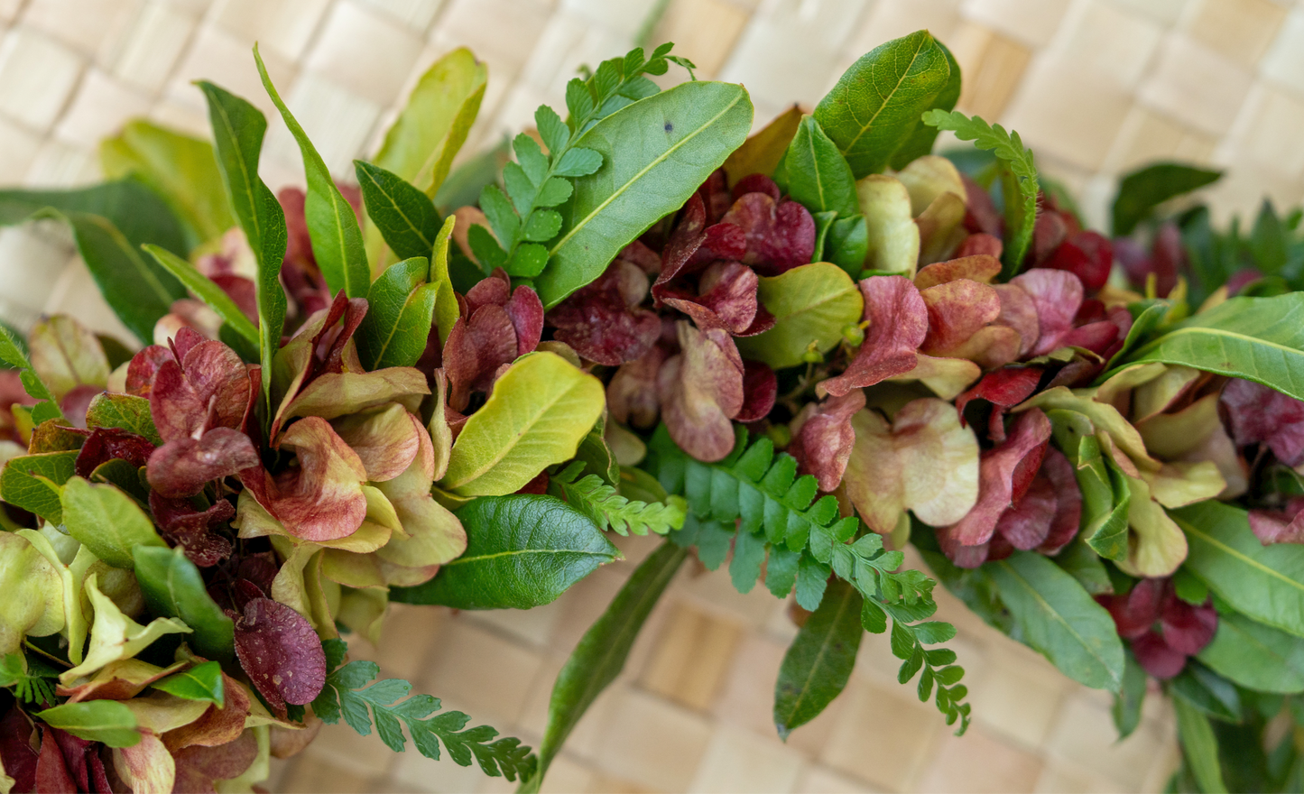 Lei Poʻo ʻAʻaliʻi