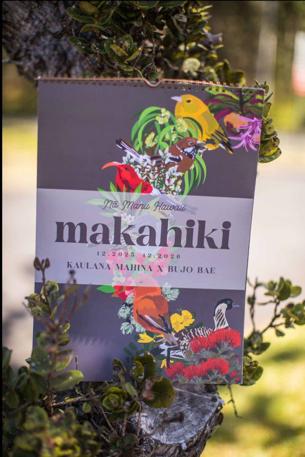 Makahiki Wall Calendar