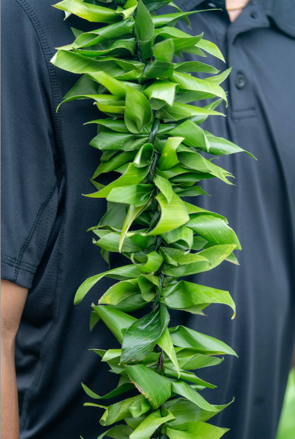 Maile Style Lei Lāʻī